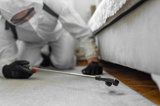 Professional Bed Bug Control technician working in Crown Heights, NY