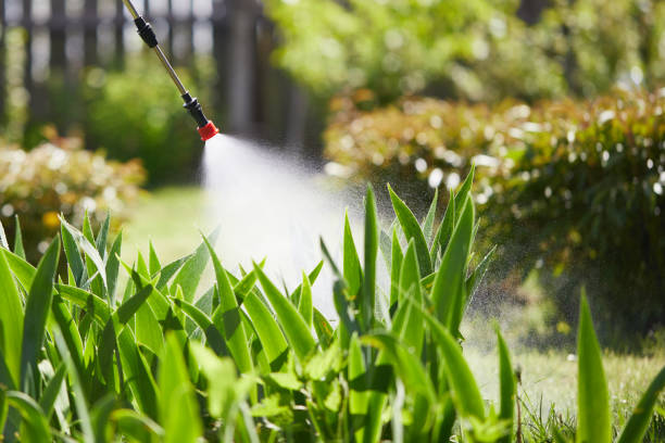 24/7 Emergency Bed Bug Control experts in Crown Heights, NY