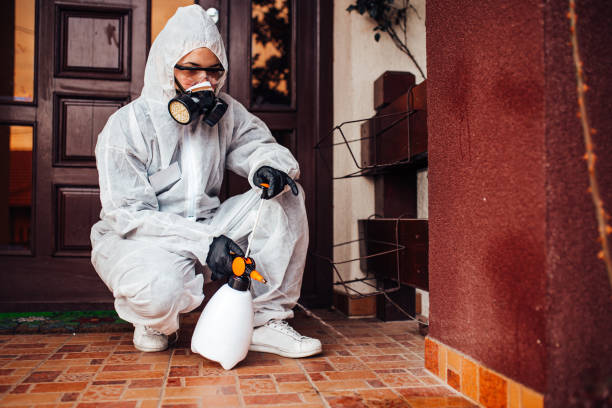 Reliable Bed Bug Control contractor in Crown Heights, NY by Nex Pest Control