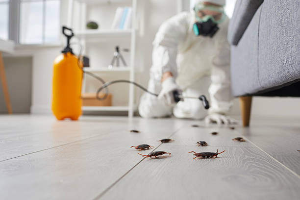 Trusted Emergency Pest Control service in Crown Heights, NY - Nex Pest Control