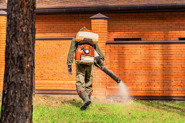 Trusted Mosquito Control service in Crown Heights, NY - Nex Pest Control
